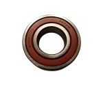 NTN 6004 LU (20x42x12)